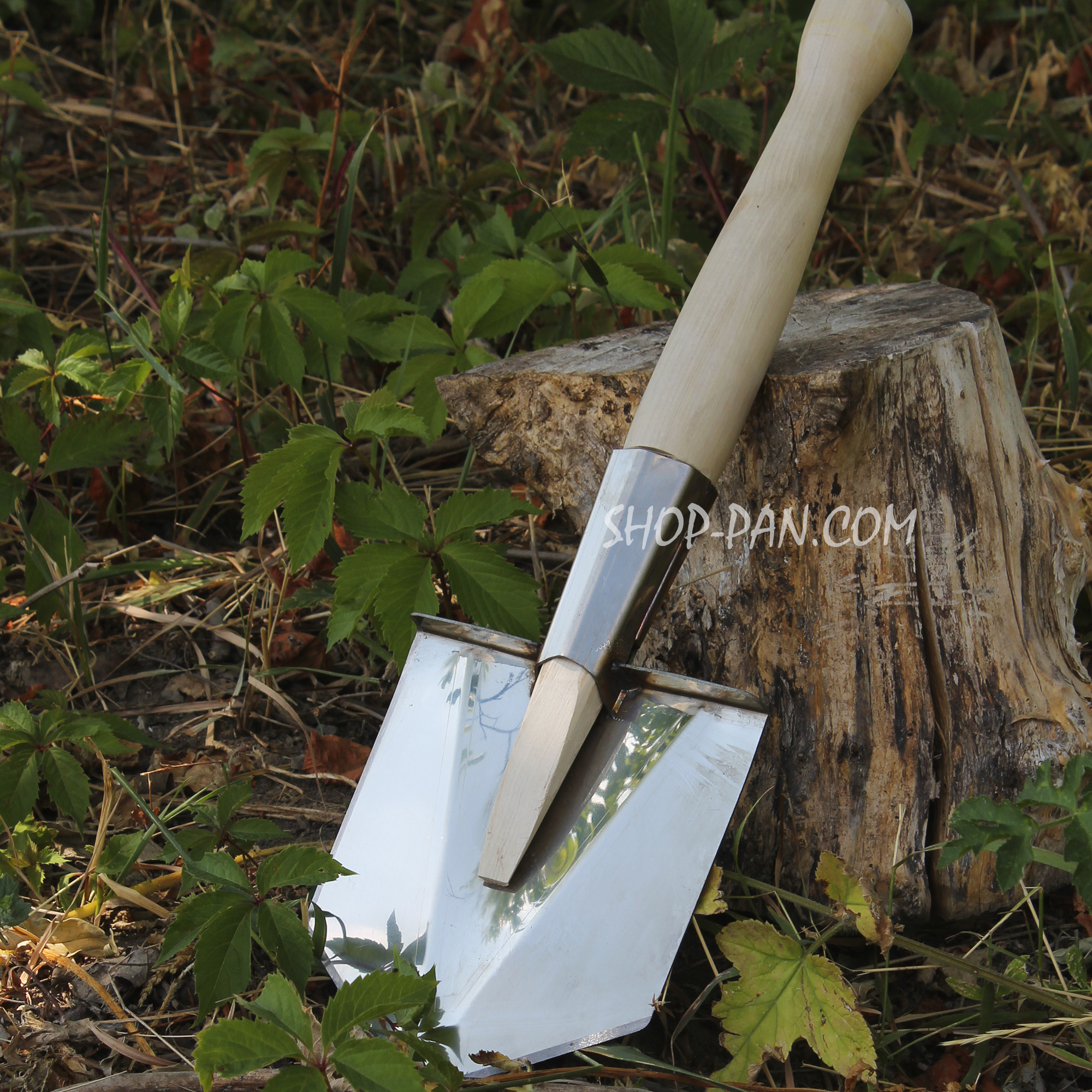 sapnerzsp0107 (1)