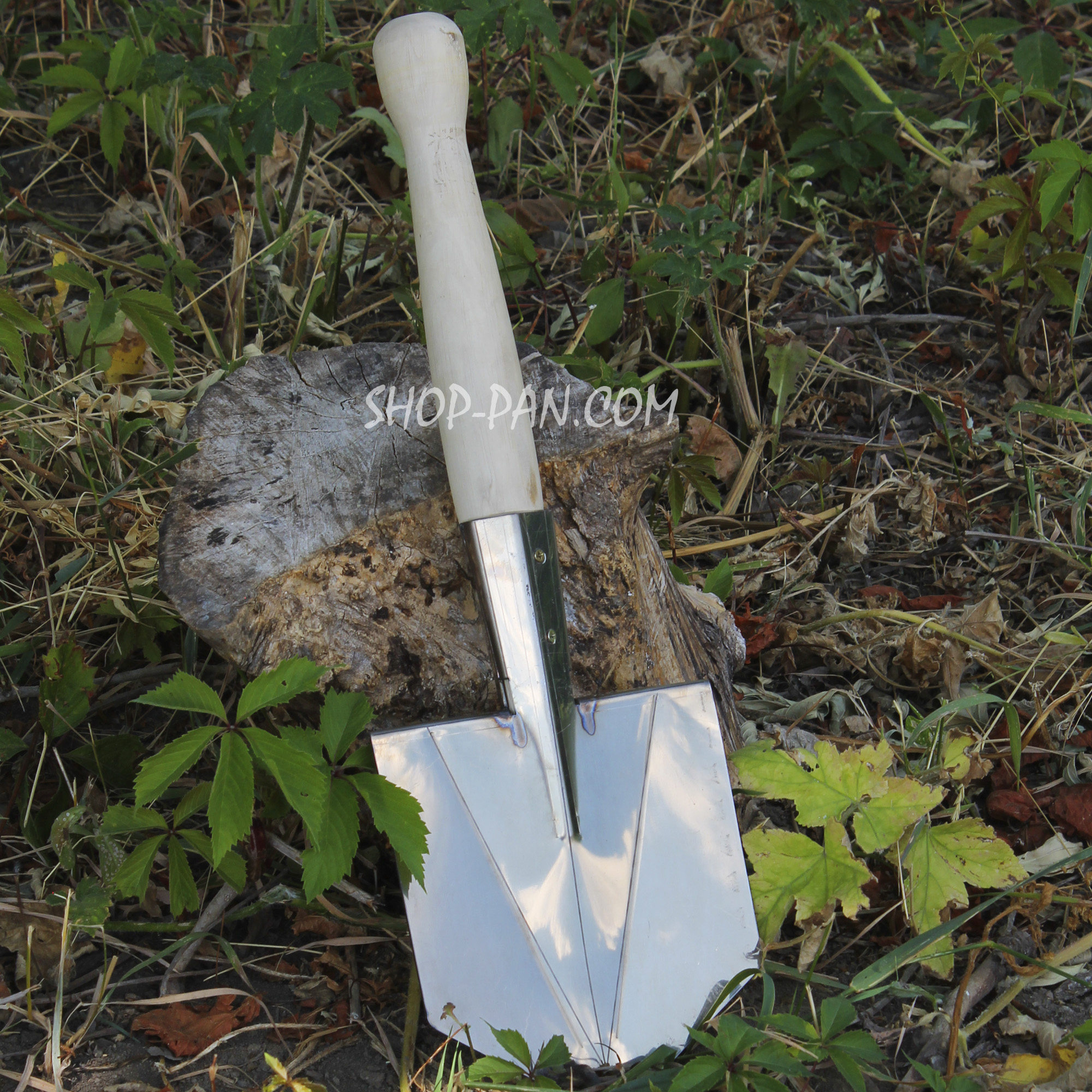 sapnerzsp0107 (6)